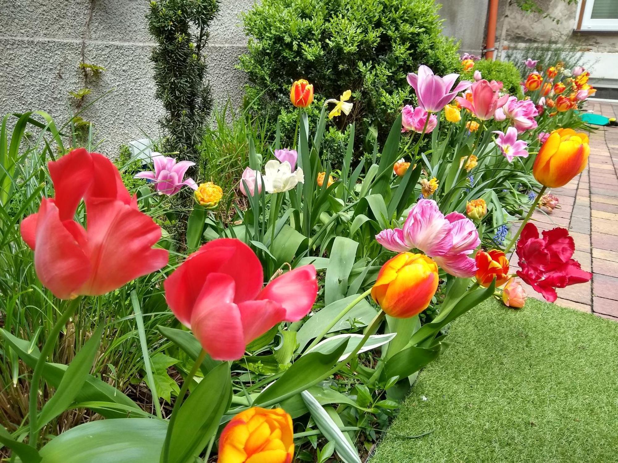 Apartamento Poezja Lublin Exterior foto